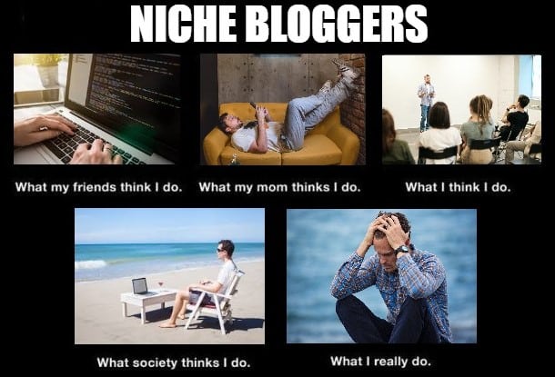 Niche Bloggers Reality Meme